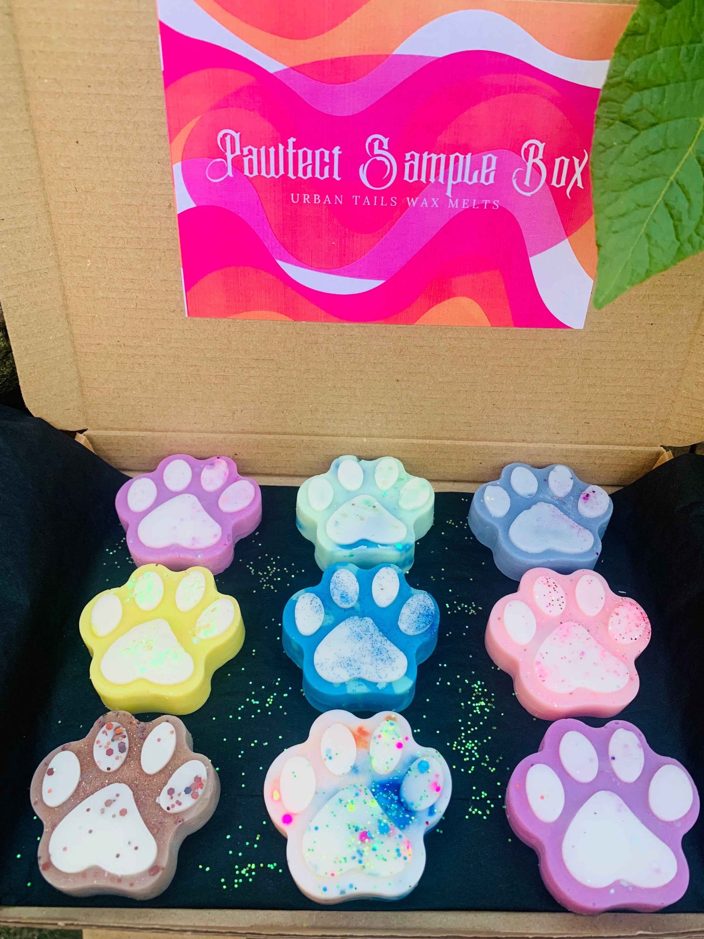 The Perfect Sample Box — Your Paw-tastic Fragrance Discovery Kit!