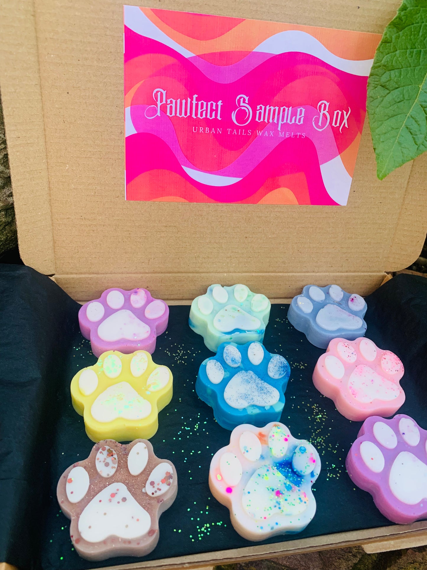 The Perfect Sample Box — Your Paw-tastic Fragrance Discovery Kit!