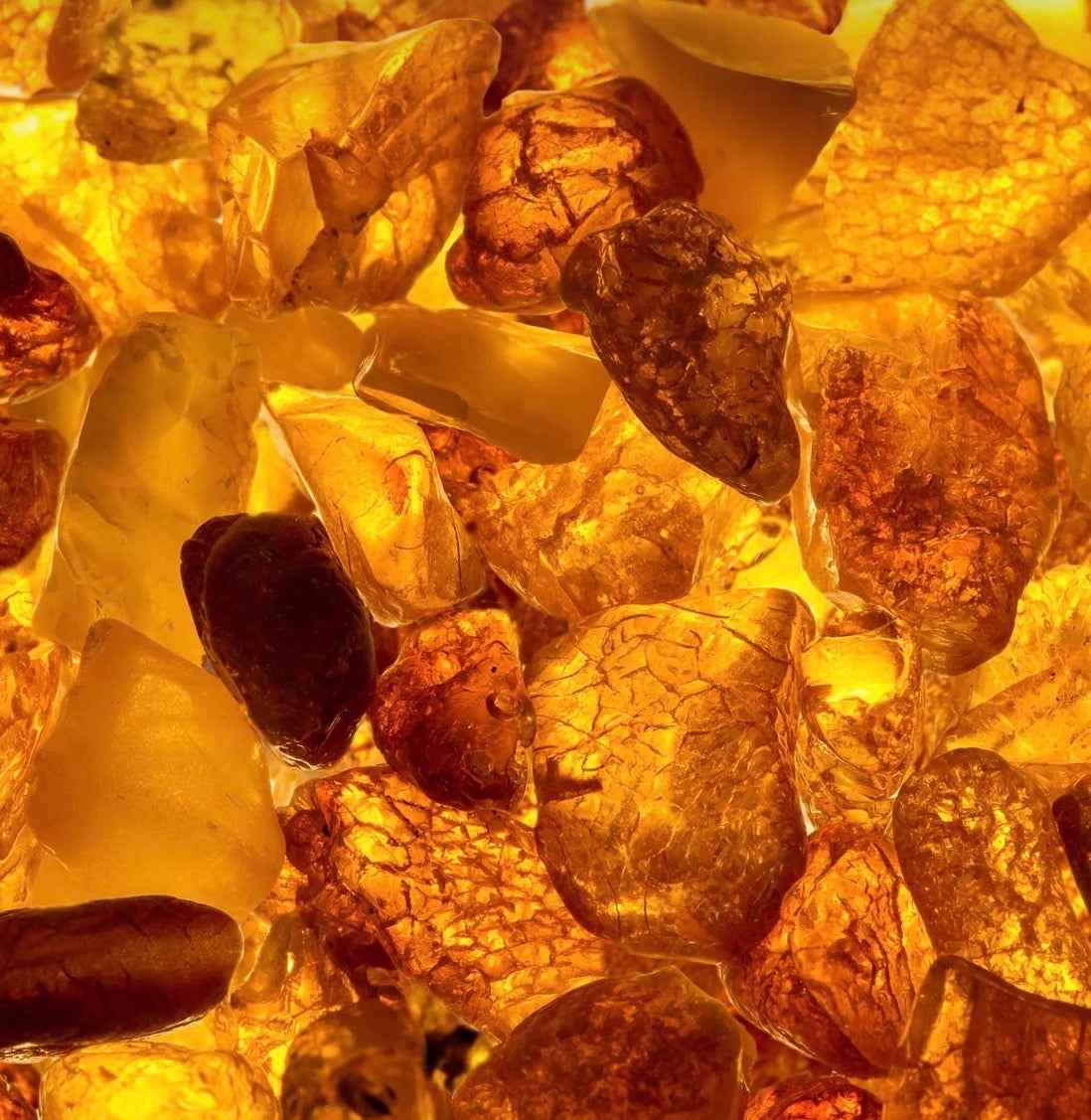 Egyptian Amber Wax Melt - 50g