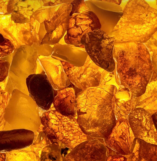 Egyptian Amber Wax Melt - 50g